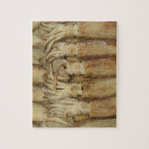 Squid - Calamari Legpuzzel