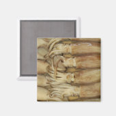 Squid - Calamari Magneet (Voorkant / Achterkant)