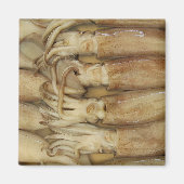 Squid - Calamari Magneet (Voorkant)