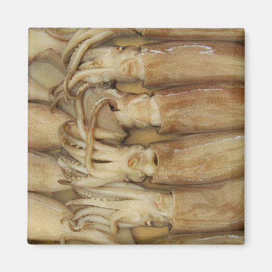 Squid - Calamari Magneet (Voorkant)