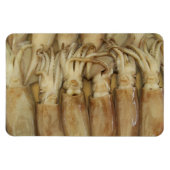 Squid - Calamari Magneet (Horizontaal)