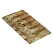 Squid - Calamari Magneet (Rechterzijde)