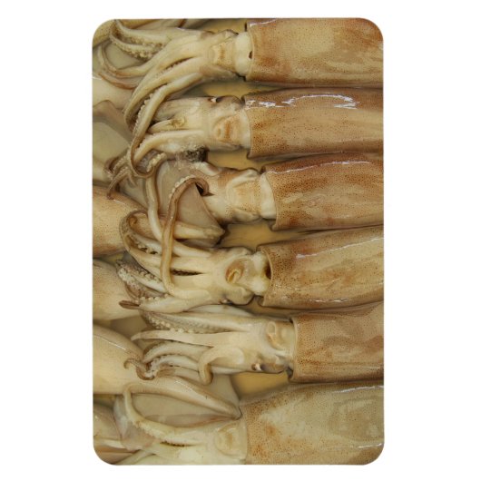Squid - Calamari Magneet (Verticaal)