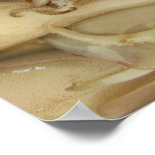 Squid - Calamari Poster (Hoek)