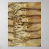 Squid - Calamari Poster (Voorkant)