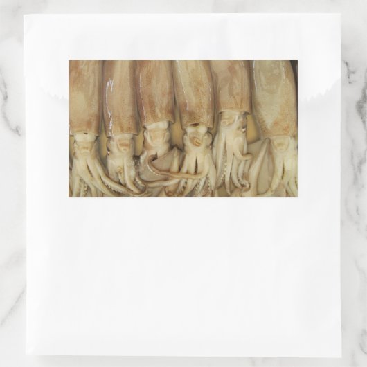 Squid - Calamari Rechthoekige Sticker (Tas)