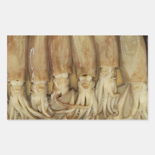 Squid - Calamari Rechthoekige Sticker (Voorkant)