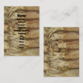 Squid - Calamari Visitekaartje (Voorkant / Achterkant)