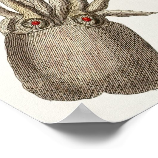 Squid Cephalopod Zee Created Art Print (Hoek)