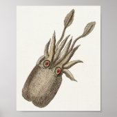 Squid Cephalopod Zee Created Art Print (Voorkant)