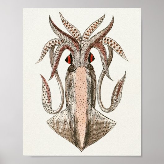 Squid  Cephalopod Zee Created Art Print (Voorkant)