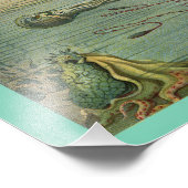 Squid marine Life Octopus  1904 Print Foto Afdruk (Hoek)