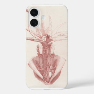 Squid nautische kunst iPhone 16 hoesje