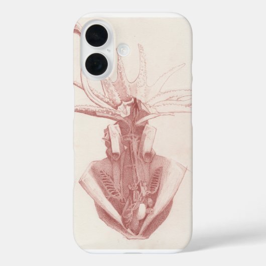 Squid  nautische kunst Case-Mate iPhone case (Achterkant)