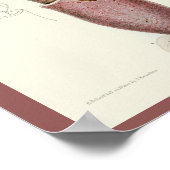 Squid Paars Cephalopod Zee Created Art Print (Hoek)