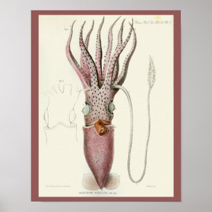Squid Paars Cephalopod Zee Created Art Print