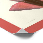 Squid Paars Cephalopod Zee Created Art Print (Hoek)