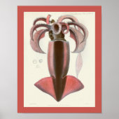 Squid Paars Cephalopod Zee Created Art Print (Voorkant)