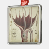 Squid, Pl.2 uit 'Histoire Naturelle' Metalen Ornament (Links)