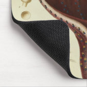 Squid, Pl.2 uit 'Histoire Naturelle' Muismat (Hoek)