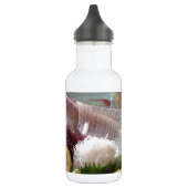 Squid Sashimi Japans maaltijdrooster Waterfles (Links)