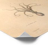 Squid Yellow Blue Zee Creater Art Print (Hoek)