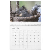 Squiggy the Squirrel Inspirational Wall Calendar Kalender (Mar 2026)