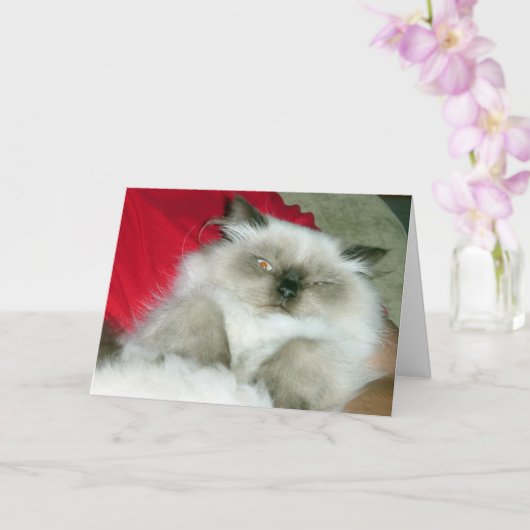 Squinty Himmy Kaart (Orchidee)