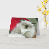 Squinty Himmy Kaart (Gele Bloem)