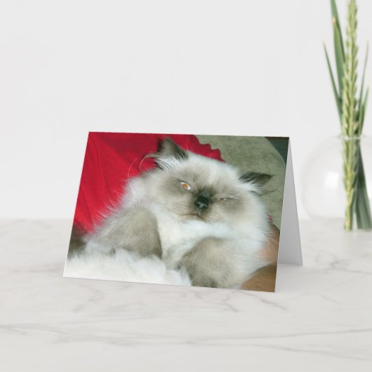 Squinty Himmy Kaart (Voorkant)