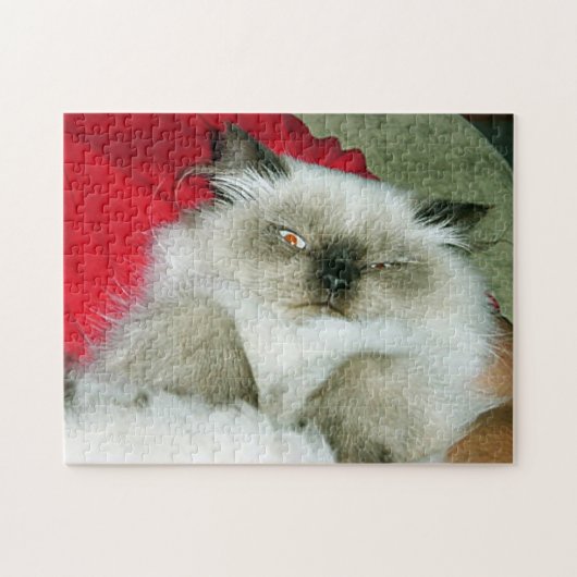 Squinty Himmy Legpuzzel (Horizontaal)