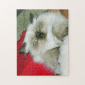 Squinty Himmy Legpuzzel (Verticaal)