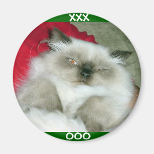 Squinty Himmy Magneet