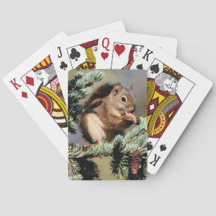 Squirell-afspeelkaarten Pokerkaarten