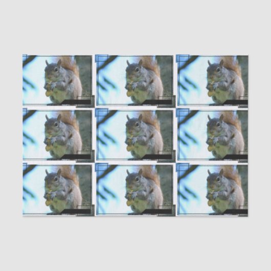 squirrel-13.jpg tissuepapier (Voorkant)