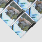 squirrel-13.jpg tissuepapier (Detail)