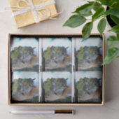 squirrel-13.jpg tissuepapier (Geschenk)