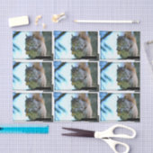 squirrel-13.jpg tissuepapier (Craft)