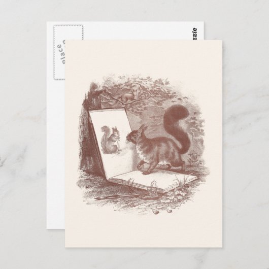 Squirrel Admires Sketch of Self Briefkaart (Voorkant / Achterkant)