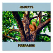 Squirrel Animal Perfect Poster (Voorkant)