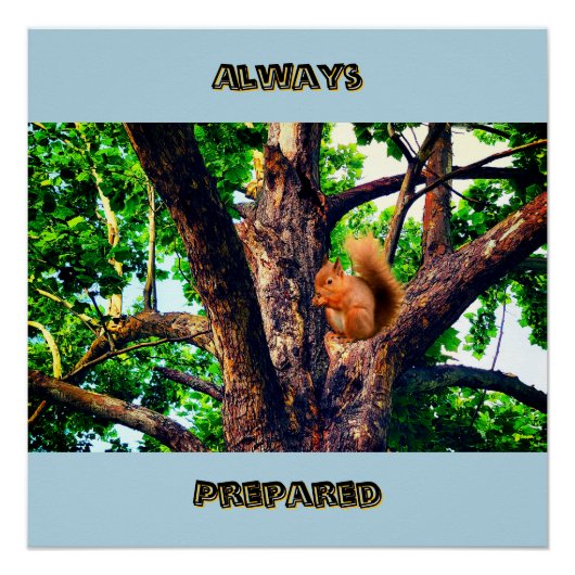 Squirrel Animal Perfect Poster (Voorkant)