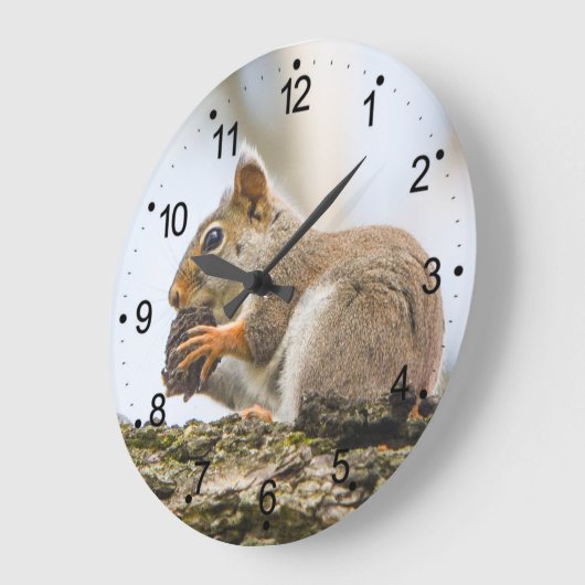 Squirrel Animals Woodland Natuur Grote Klok (Hoek)