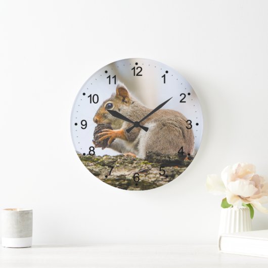 Squirrel Animals Woodland Natuur Grote Klok (Huis)