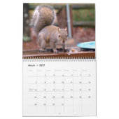 Squirrel Antics Kalender (Mar 2027)