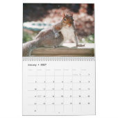 Squirrel Antics Kalender (Jan 2027)
