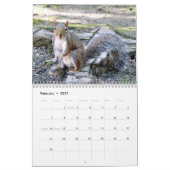 Squirrel Antics Kalender (Feb 2027)