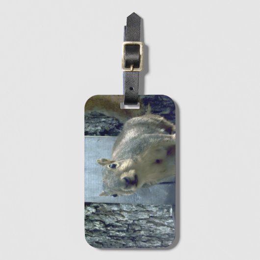 Squirrel  bagagelabel (Voorkant (verticaal))