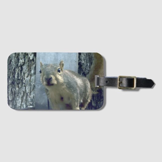 Squirrel  bagagelabel (Voorkant (horizontaal))