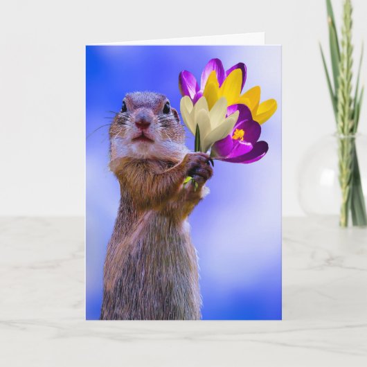 SQUIRREL BIRTHDAY CARDS BEDANKKAART (Voorkant)