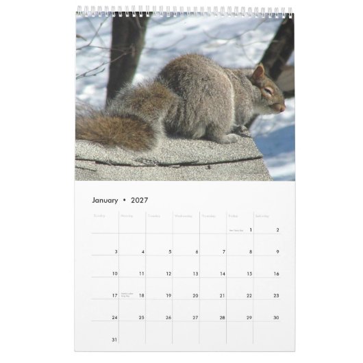 Squirrel Calendar 2011 Kalender (Jan 2027)